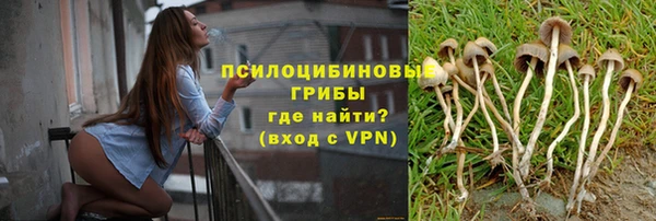 МДМА Ельня