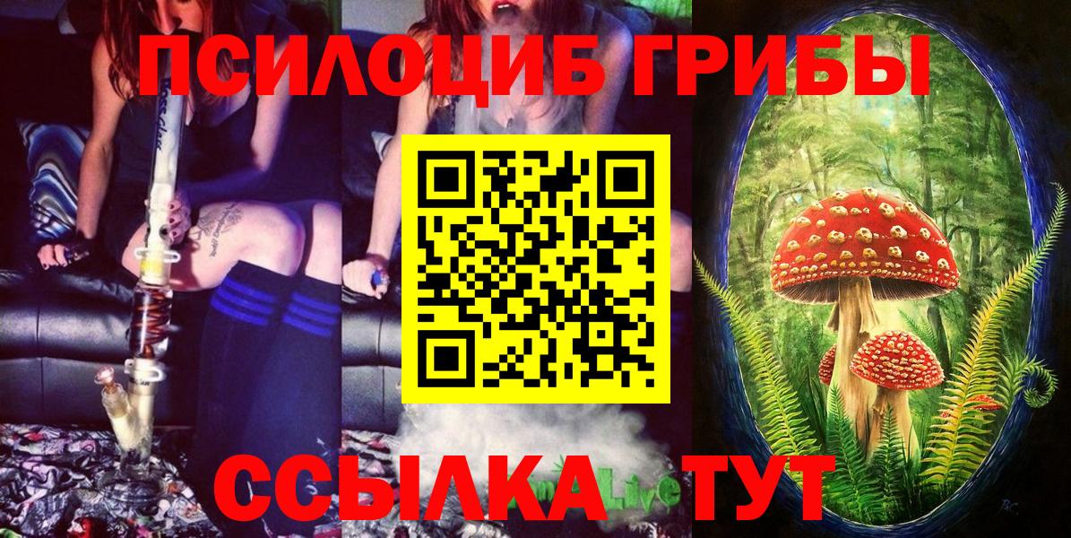 Псилоцибиновые грибы Psilocybe Сердобск