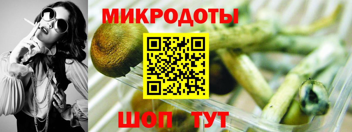 Сердобск  Галлюциногенные грибы Cubensis  Вход с VPN 