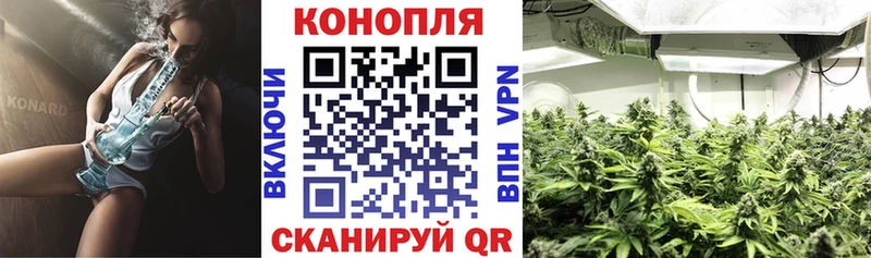 где купить   Сердобск  МАРИХУАНА семена 
